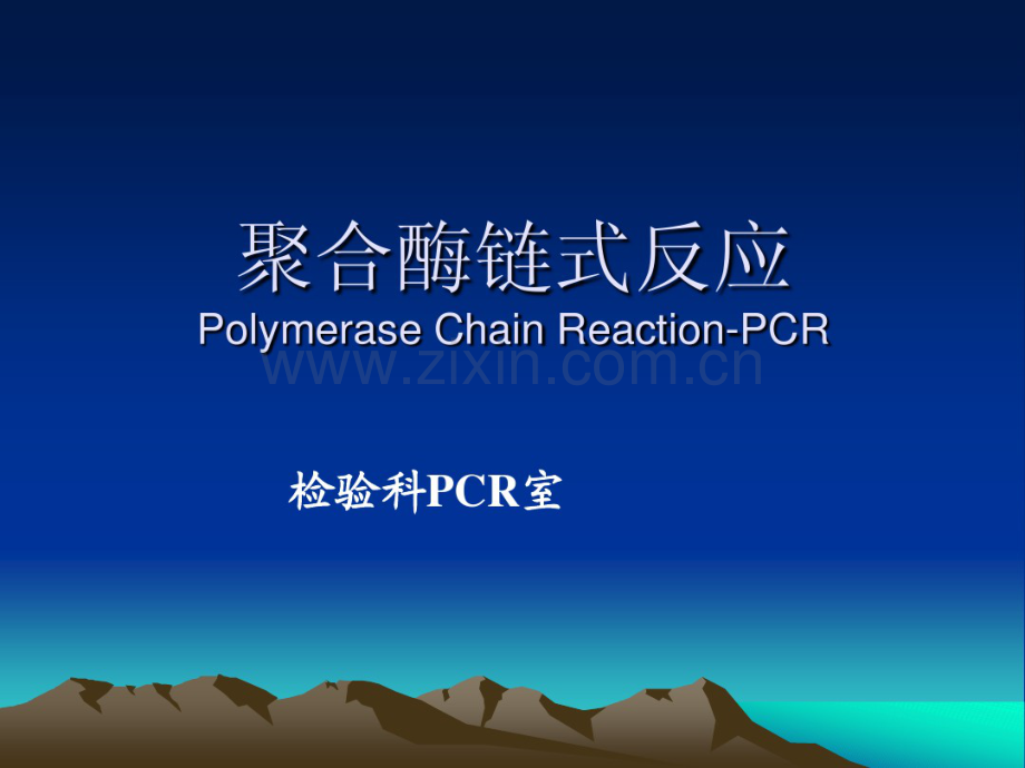 PCR精选讲义.pdf_第1页