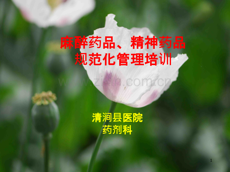 麻醉药品精神药品培训-.ppt_第1页