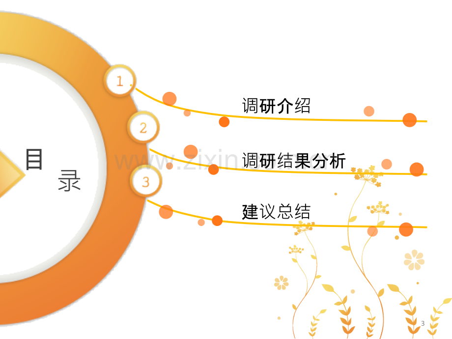 马克思主义基本原理概论调研报告展示-.ppt_第3页