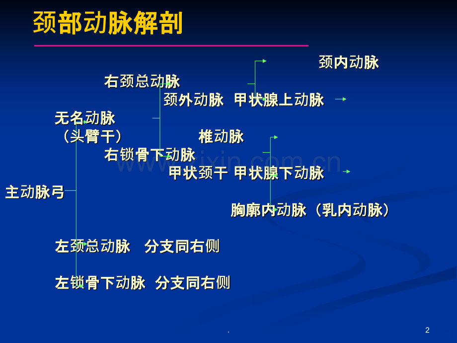 颈动脉疾病.ppt_第2页