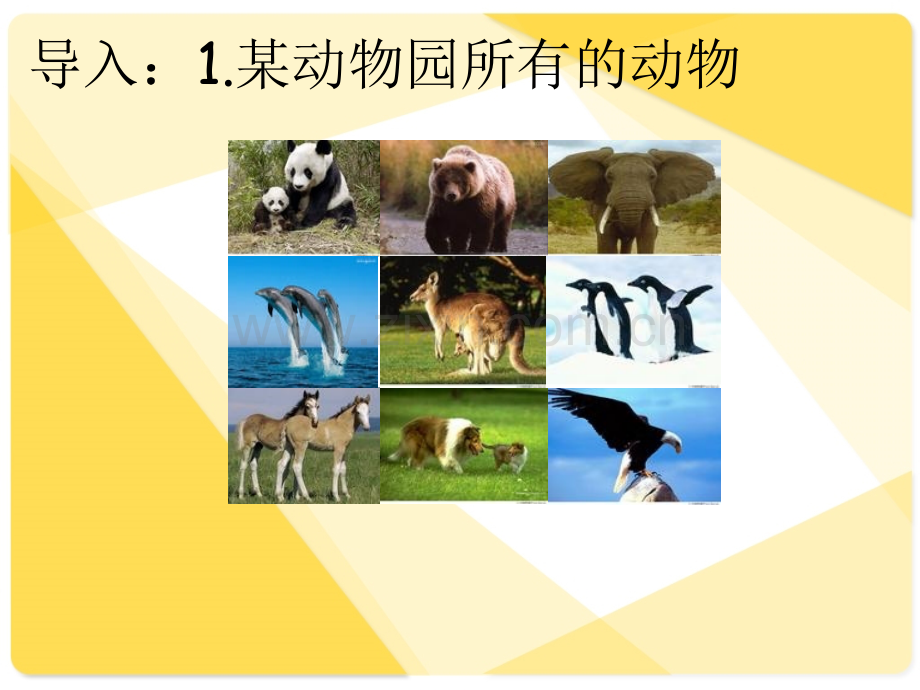 中职数学1.1集合的-概念.ppt_第2页