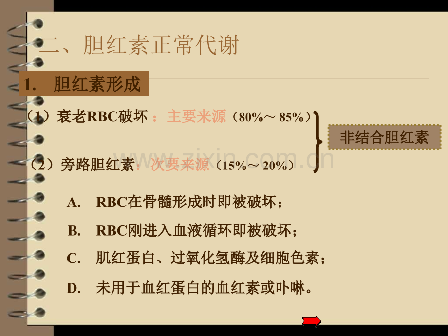 黄疸课件.ppt_第2页