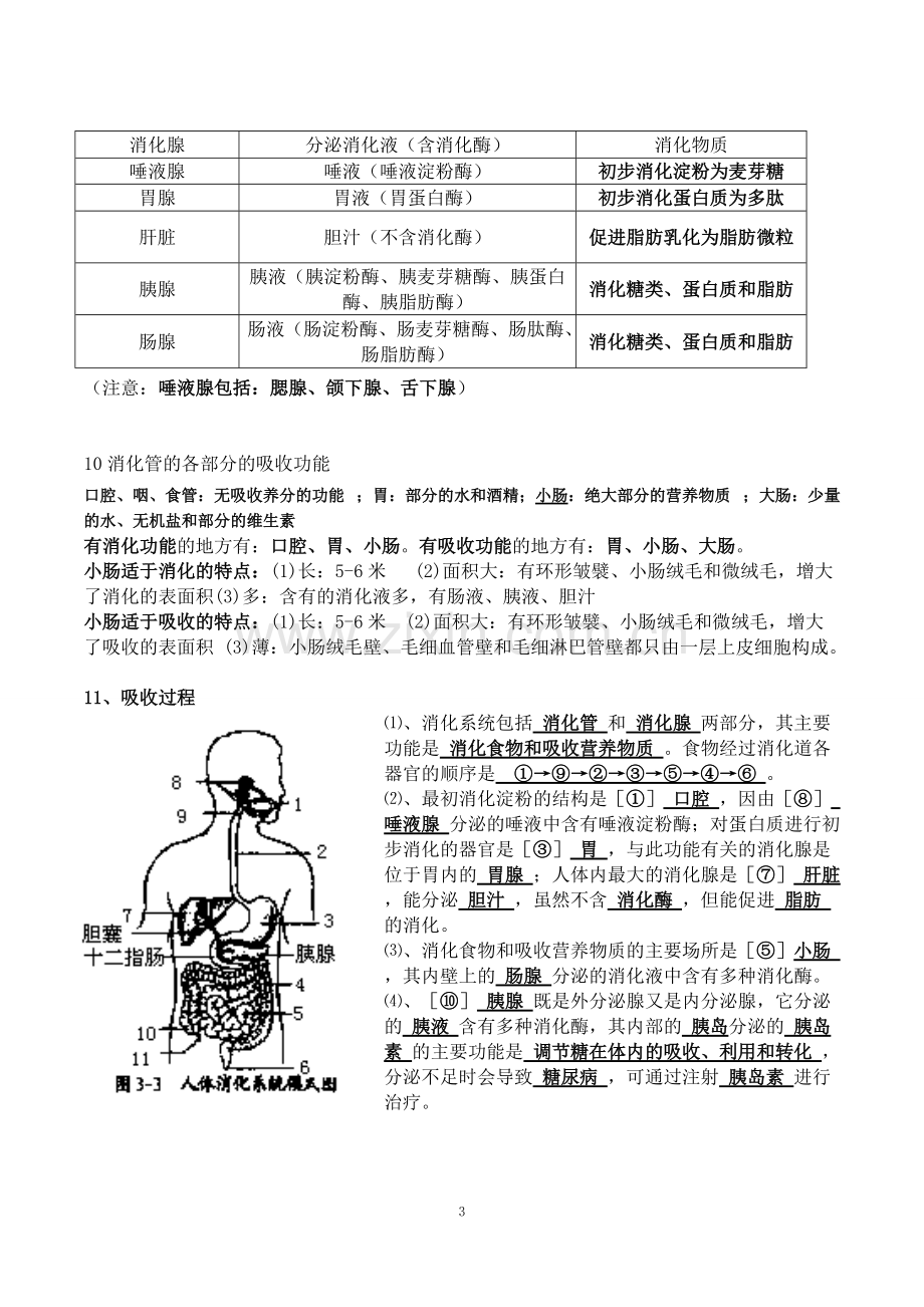 北师大版生物七年级下册知识点总结.pdf_第3页