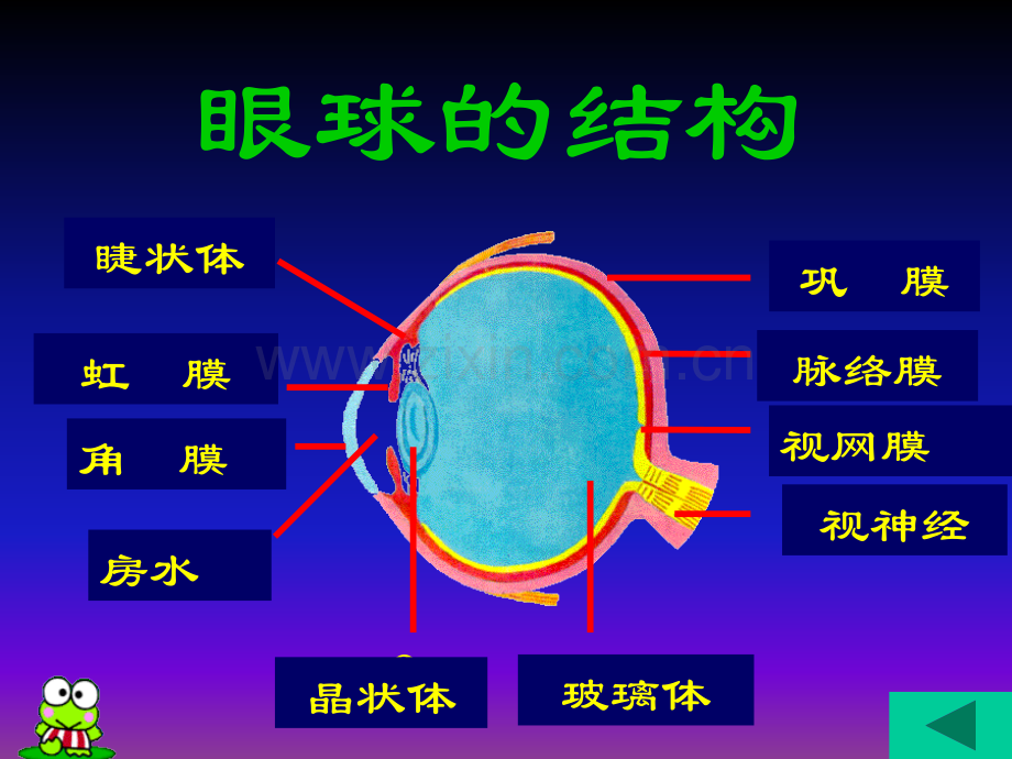 青少年近视眼防治.ppt_第3页