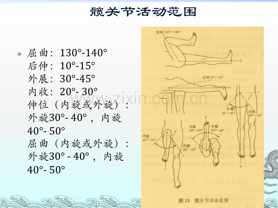 髋关节体格检查.ppt_第3页