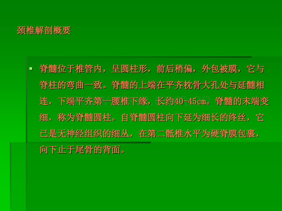 颈椎病教学查房.ppt_第3页