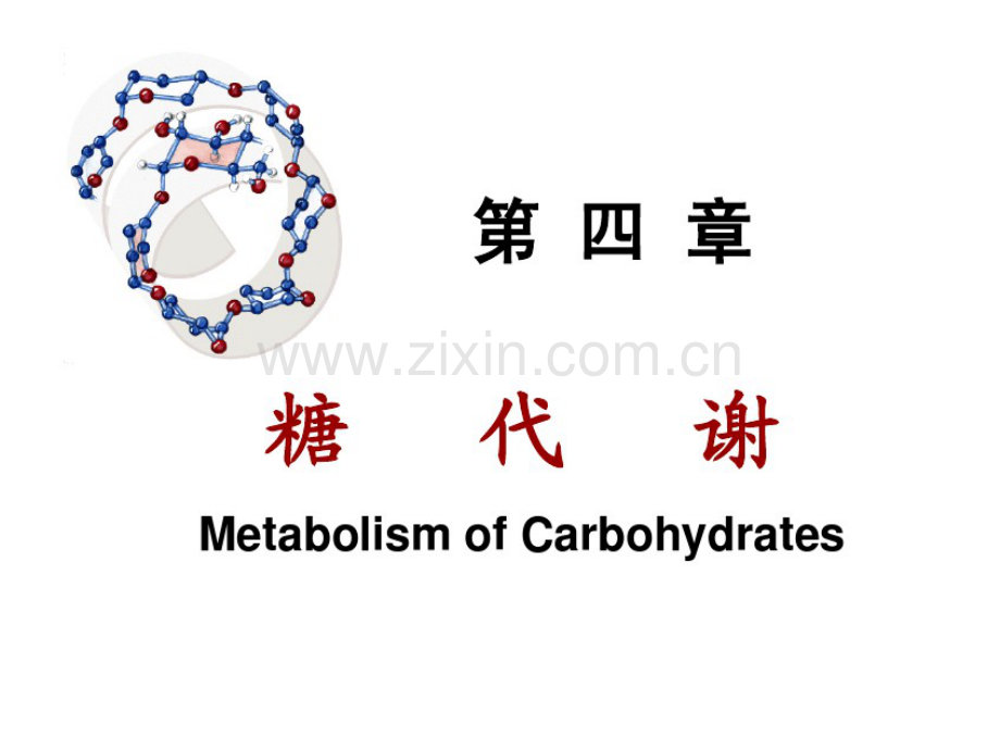 生物化学4糖代谢.pdf_第1页