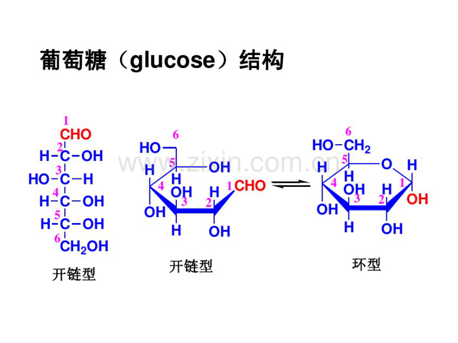 生物化学4糖代谢.pdf_第3页