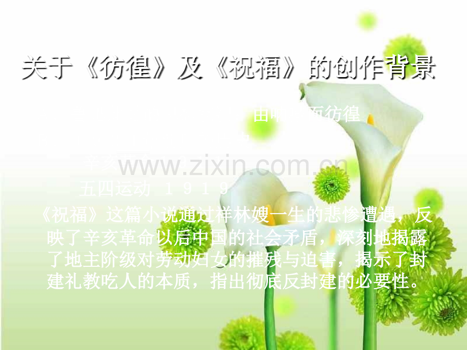 鲁迅祝福公开课课件ppt.ppt_第2页