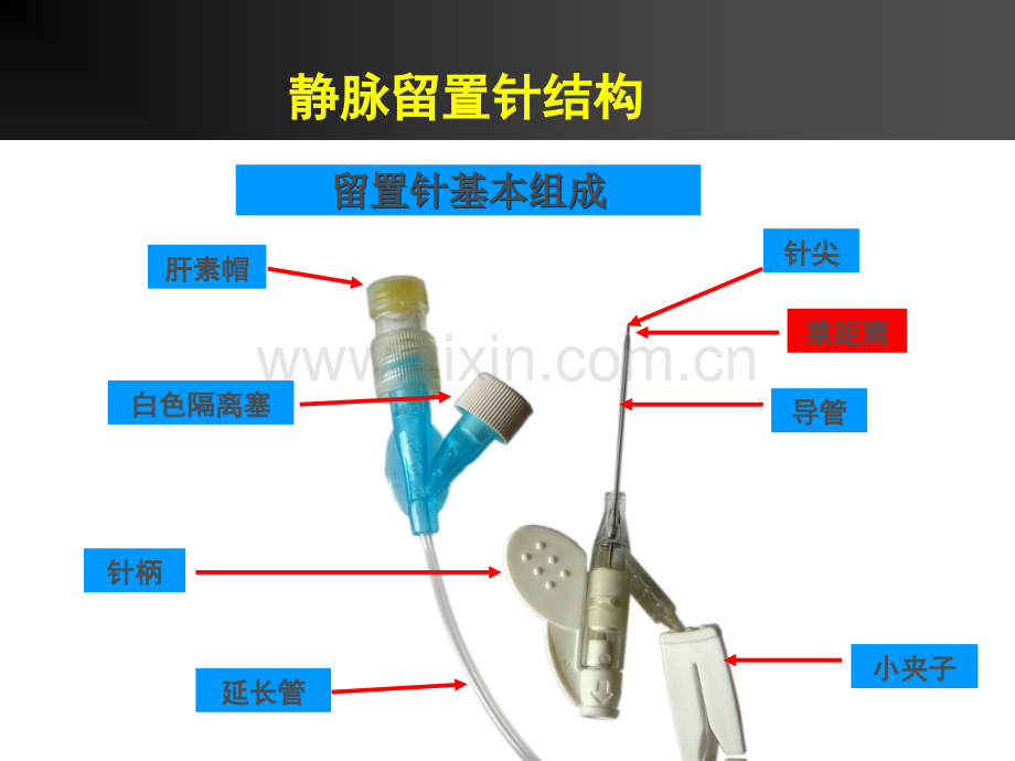 静脉留置针培训.ppt_第3页