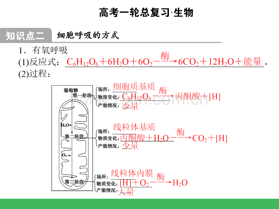 高考生物一轮总复习ATP的主要来源细胞呼吸人教.ppt_第3页