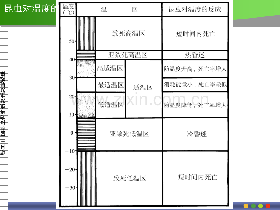 32分析影响昆虫生活的环境因子.pptx_第3页