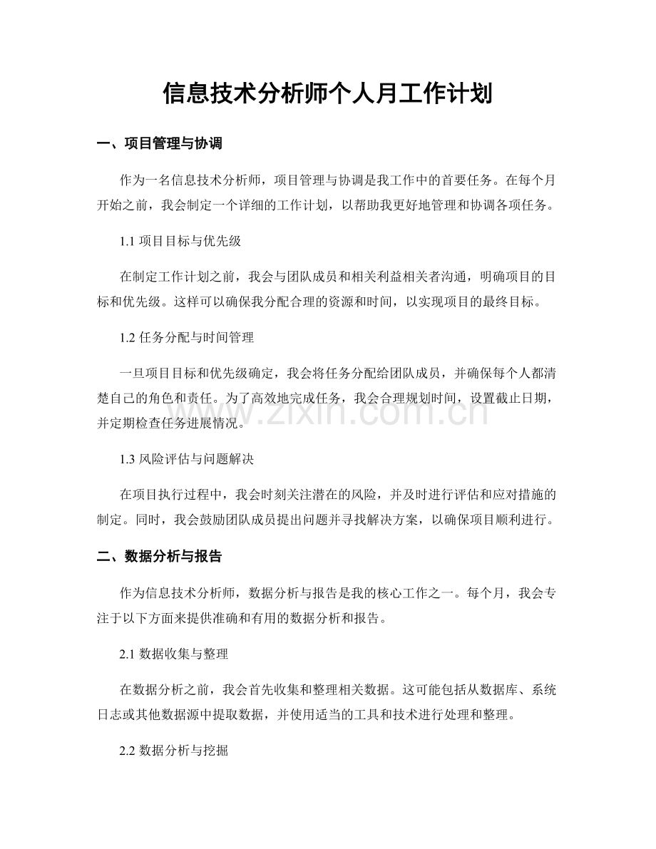 信息技术分析师个人月工作计划.docx_第1页