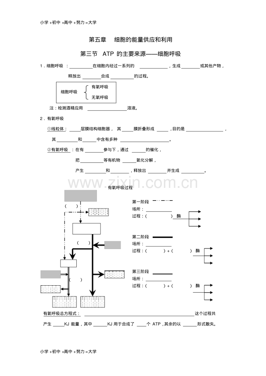 高中生物第五章细胞的能量供应和利用5.3ATP的主要来源--细胞呼吸学案无答案新人教版必修.pdf_第1页