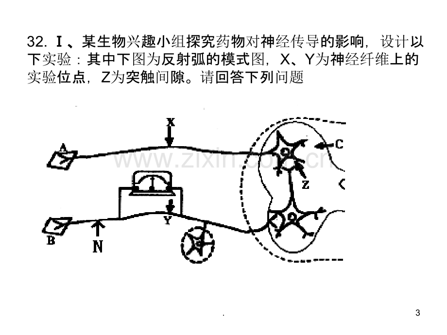 高生物必修实验专题训练.ppt_第3页