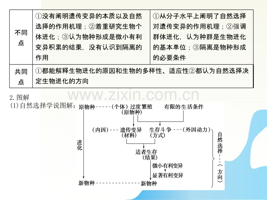 高考生物单元综合提升总复习必修.ppt_第3页