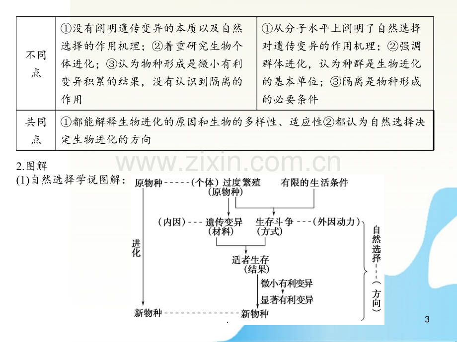 高考生物-单元综合提升总复习15-必修2.ppt_第3页