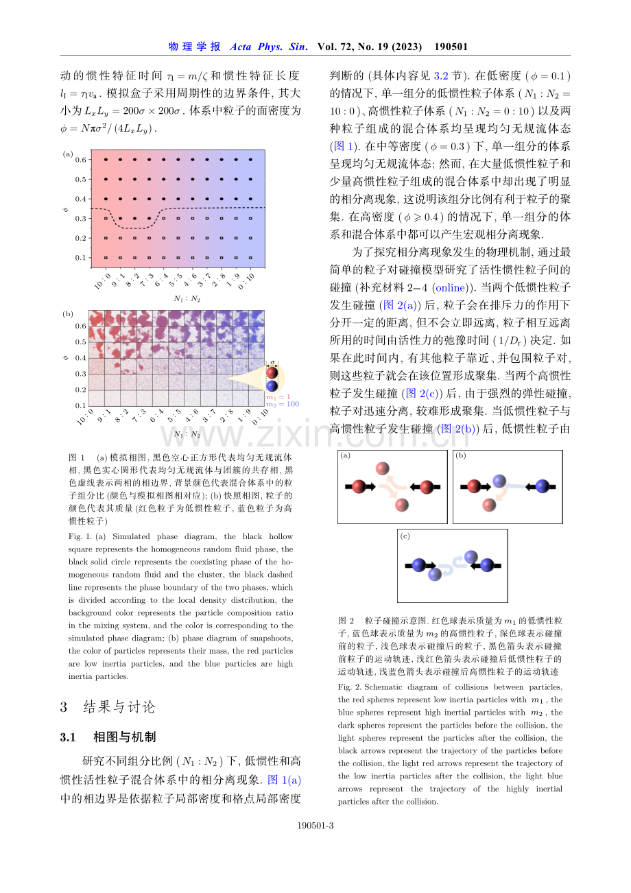 低惯性与高惯性活性粒子混合体系中的相分离现象.pdf_第3页