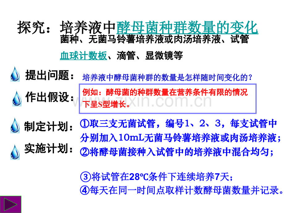 探究酵母菌数量变化.pptx_第3页