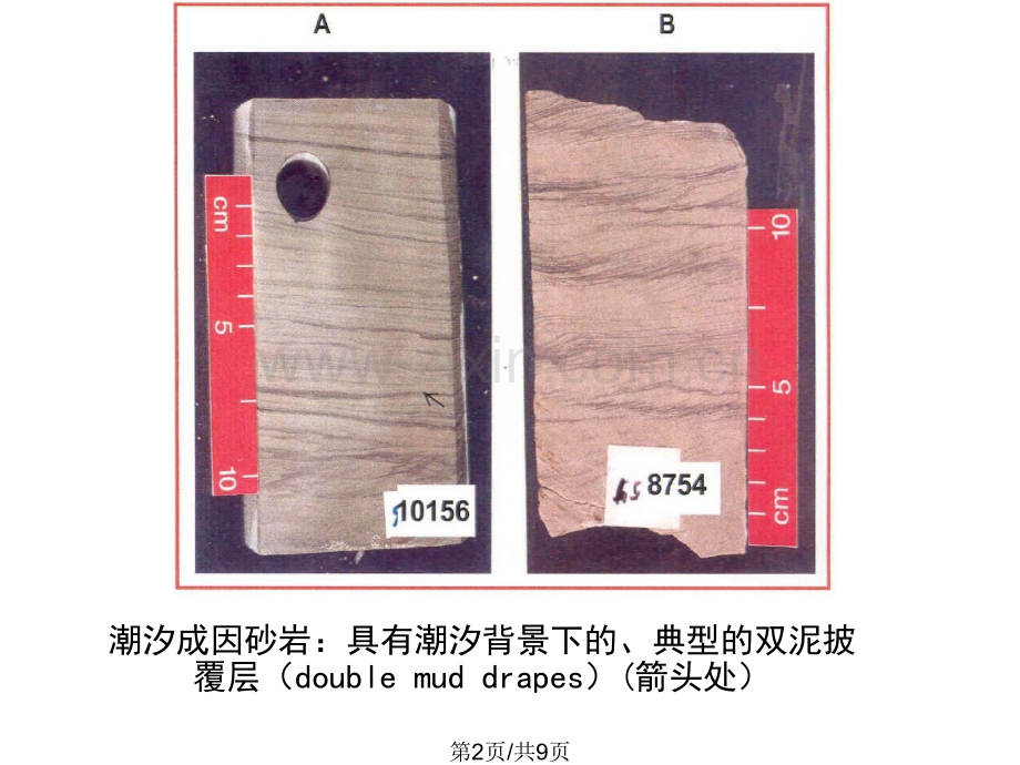 从岩心上观察构造沉积现象图片库.pptx_第2页