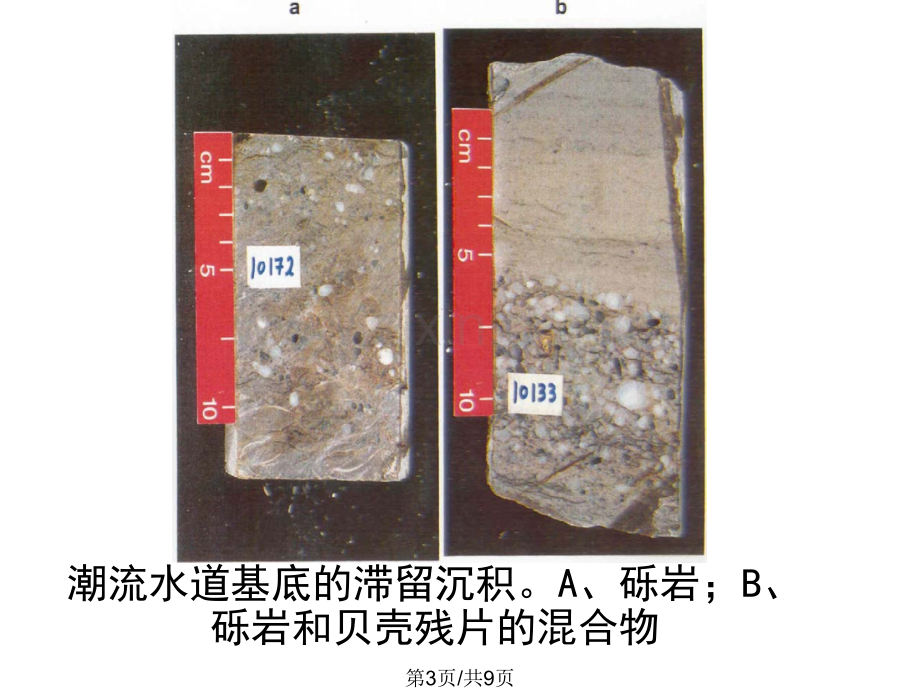 从岩心上观察构造沉积现象图片库.pptx_第3页