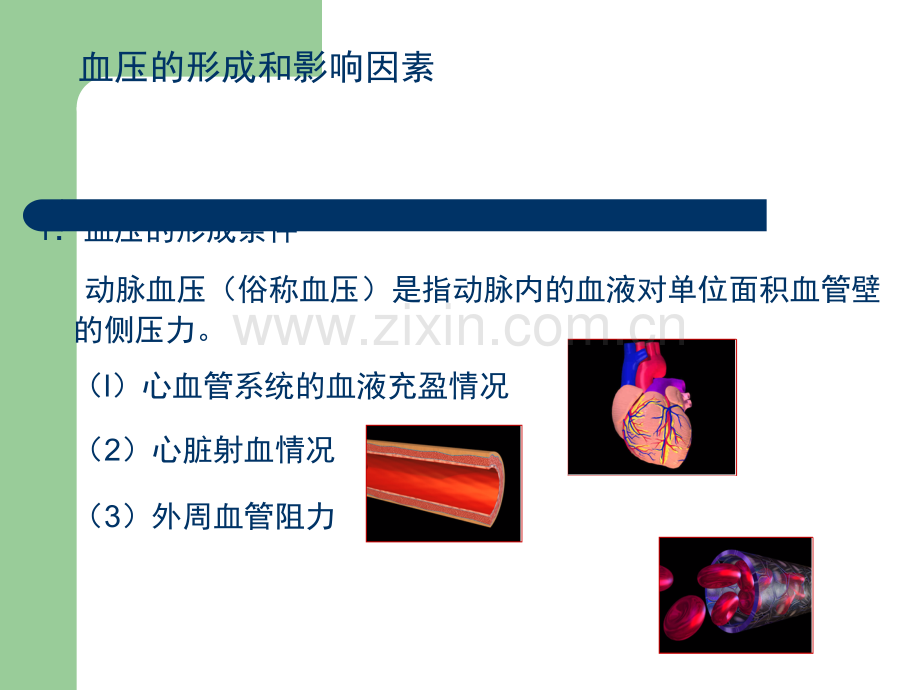 高血压的发病机制与病理生理.ppt_第3页