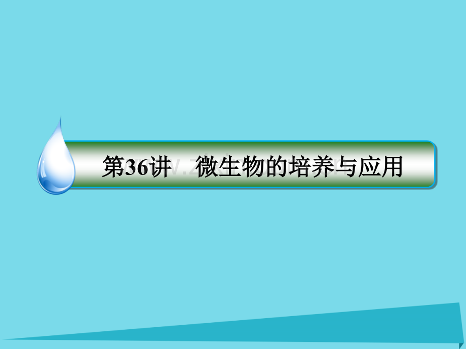 名师伴你行高考生物一轮复习生物技术实践微生物培养与应用选修.pptx_第1页