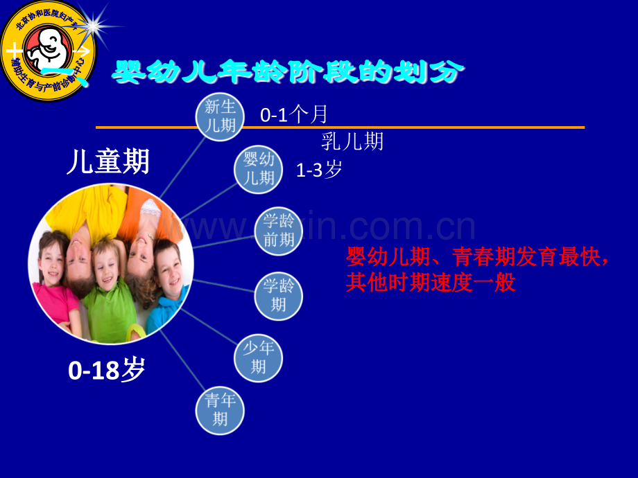 高级育婴师理论与实操ppt课件.ppt_第2页