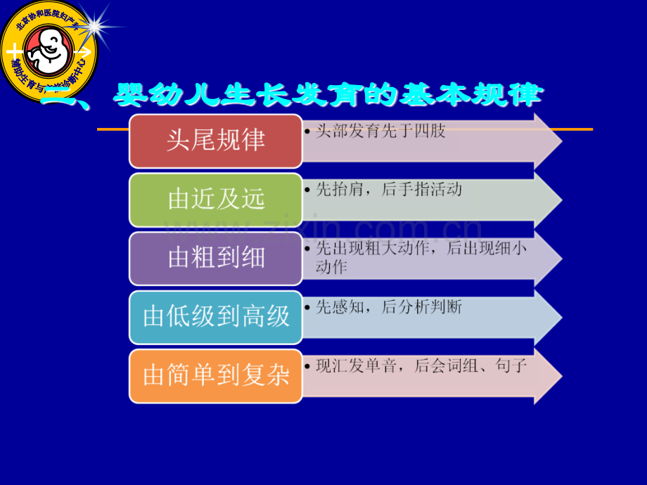 高级育婴师理论与实操ppt课件.ppt_第3页