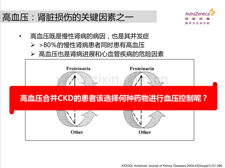 高血压合并CKD患者该如何选择联合治疗方案.ppt_第2页