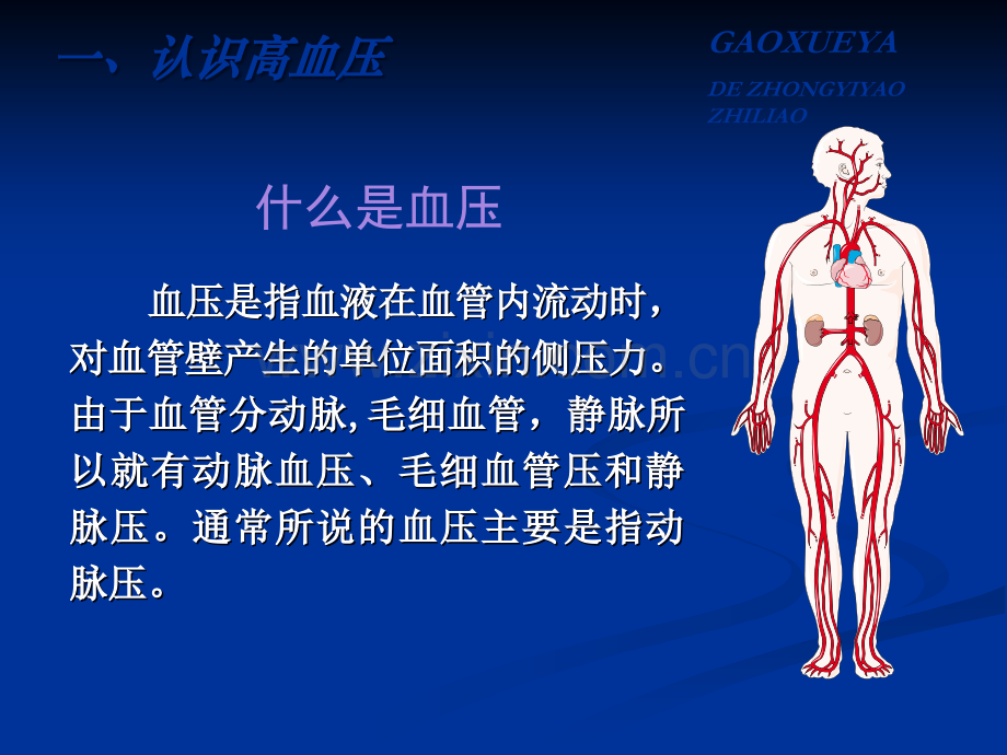 高血压中医药防治知识.ppt_第3页