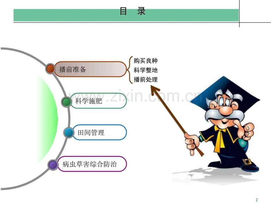 东北玉米高产栽培技术培训资料.pptx_第1页