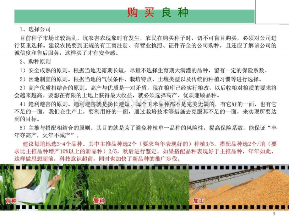 东北玉米高产栽培技术培训资料.pptx_第2页