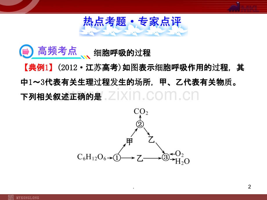 高考冲刺生物总复习细胞呼吸.ppt_第2页