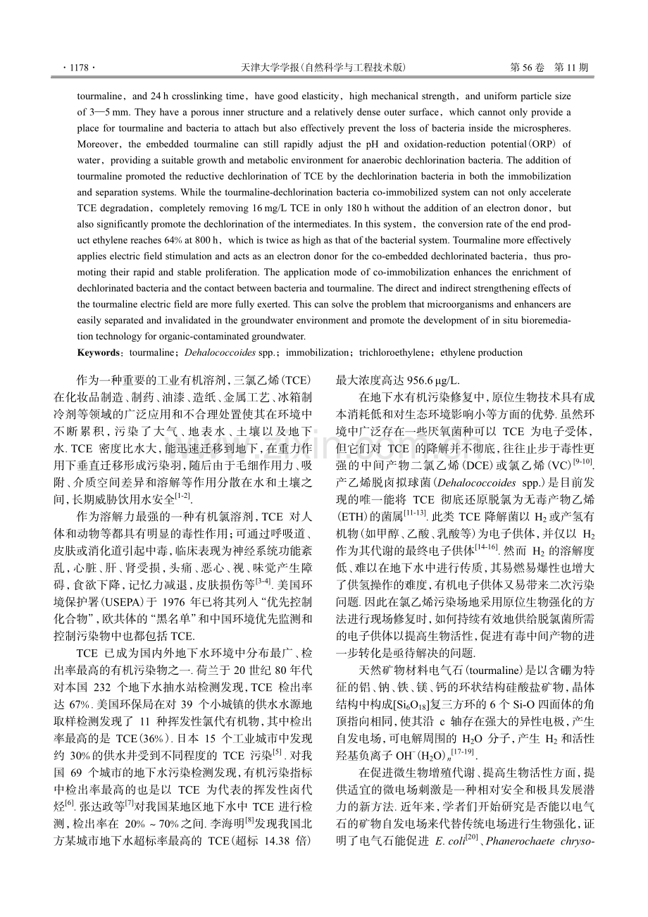 电性矿物强化脱氯菌对水中TCE的降解.pdf_第2页