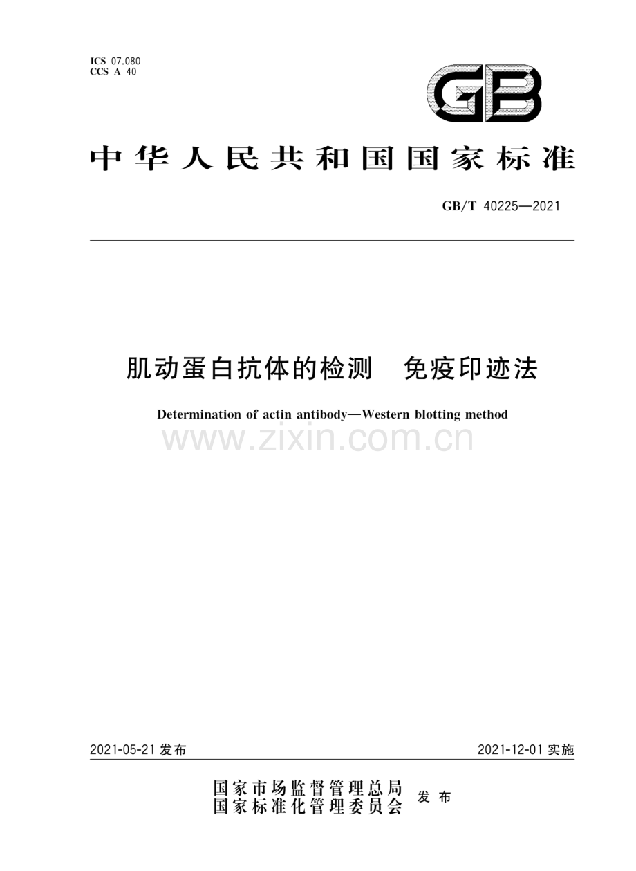 GBT40225-2021肌动蛋白抗体的检测免疫印迹法国家标准规范.pdf_第1页