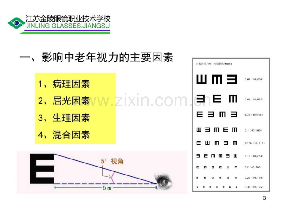 中老年视觉保健图文.pptx_第3页