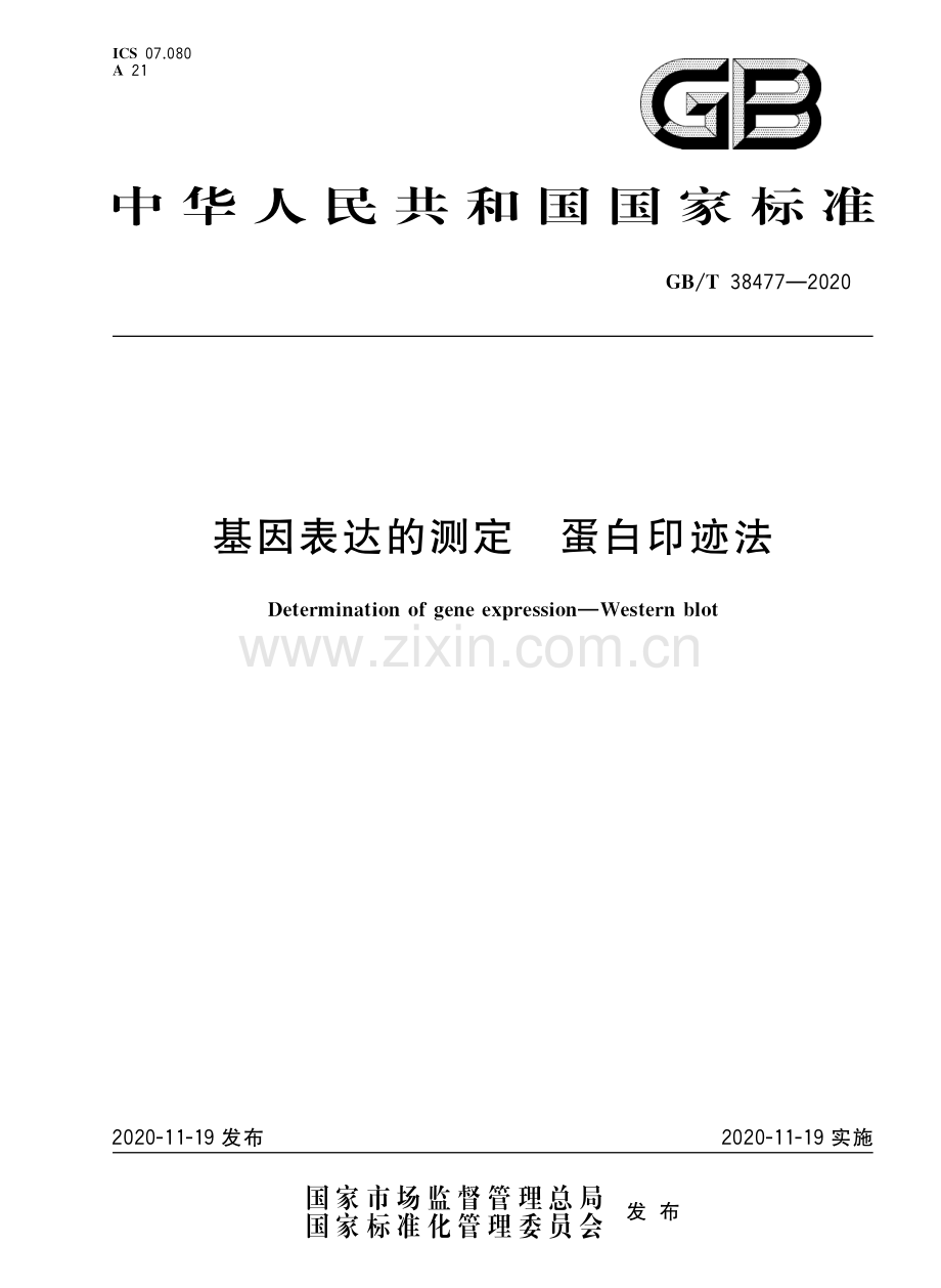 GBT38477-2020基因表达的测定蛋白印迹法国家标准规范.pdf_第1页