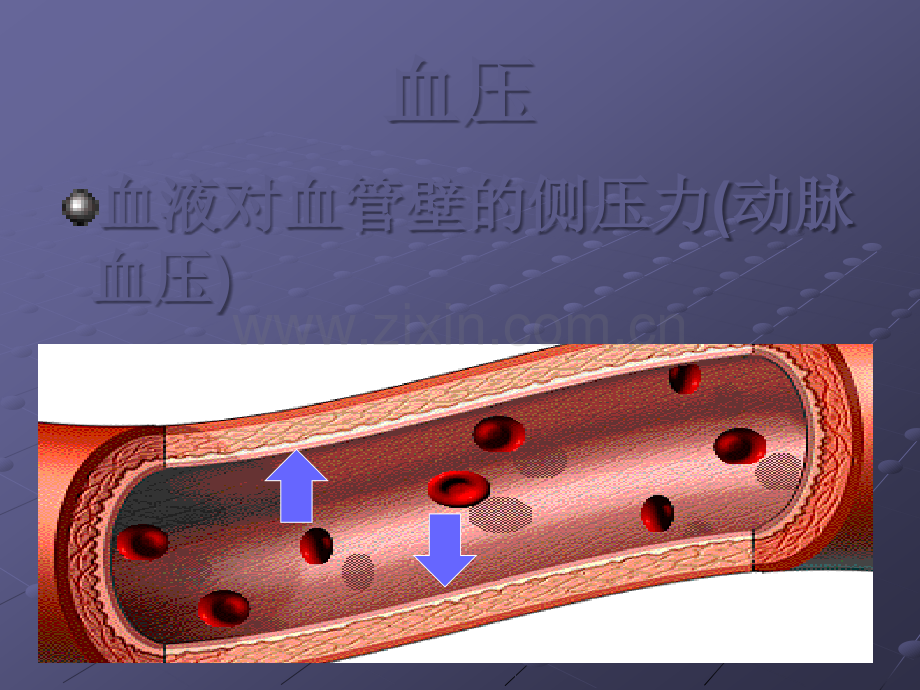 高血压健康指导.ppt_第2页