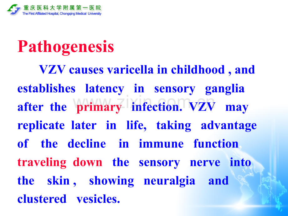 皮肤性病学英文陈爱军带状疱疹英文教学.pptx_第3页