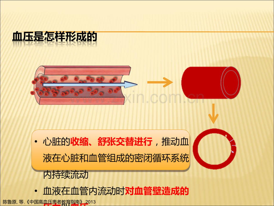 高血压的围手术期管理-.ppt_第3页