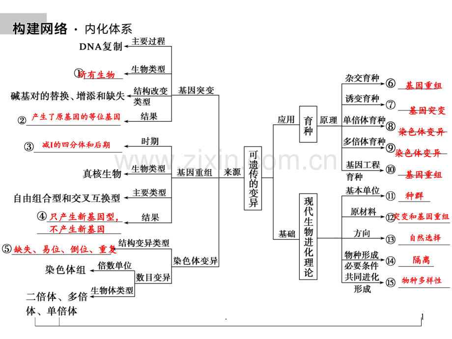 高考生物二轮复习变异育种和进化.ppt_第1页