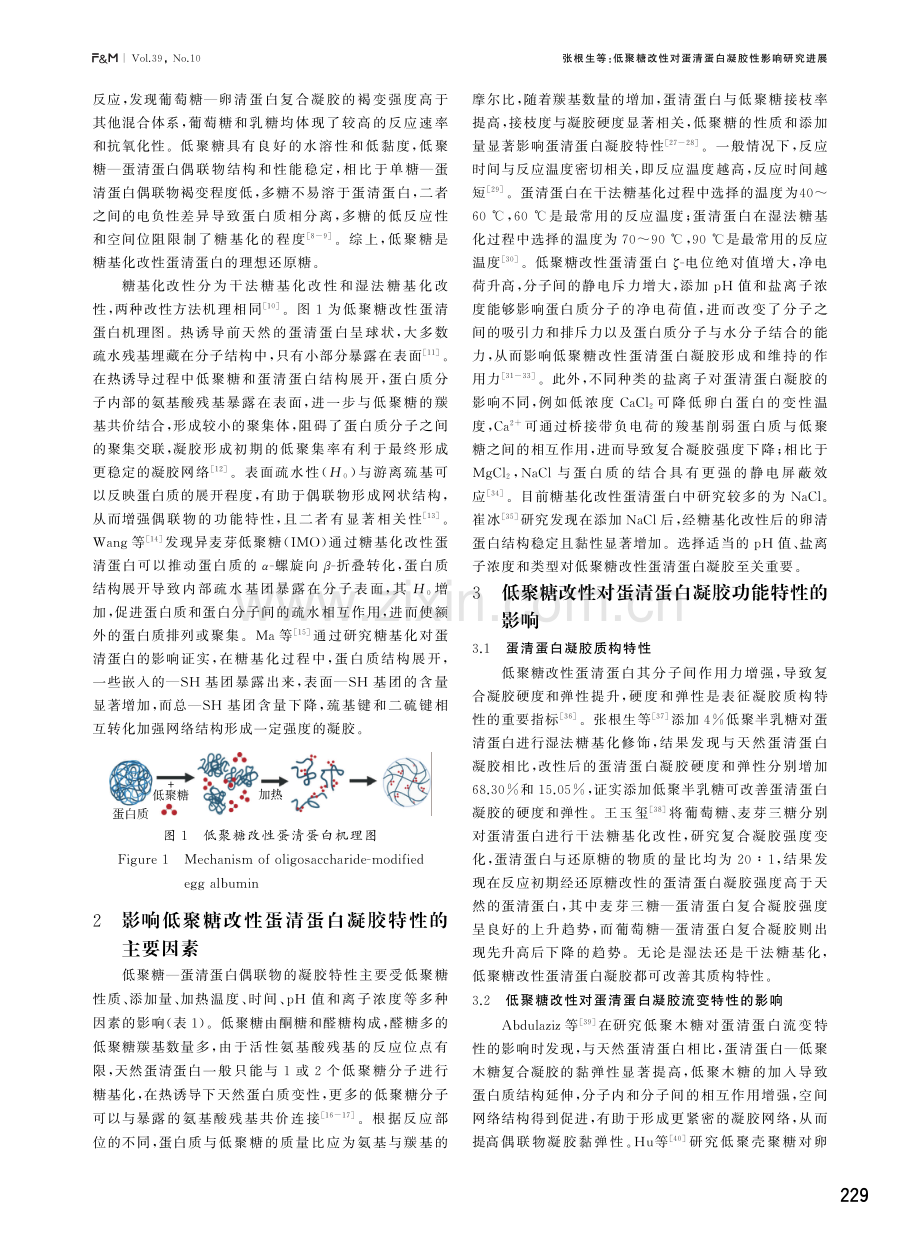 低聚糖改性对蛋清蛋白凝胶性影响研究进展.pdf_第2页