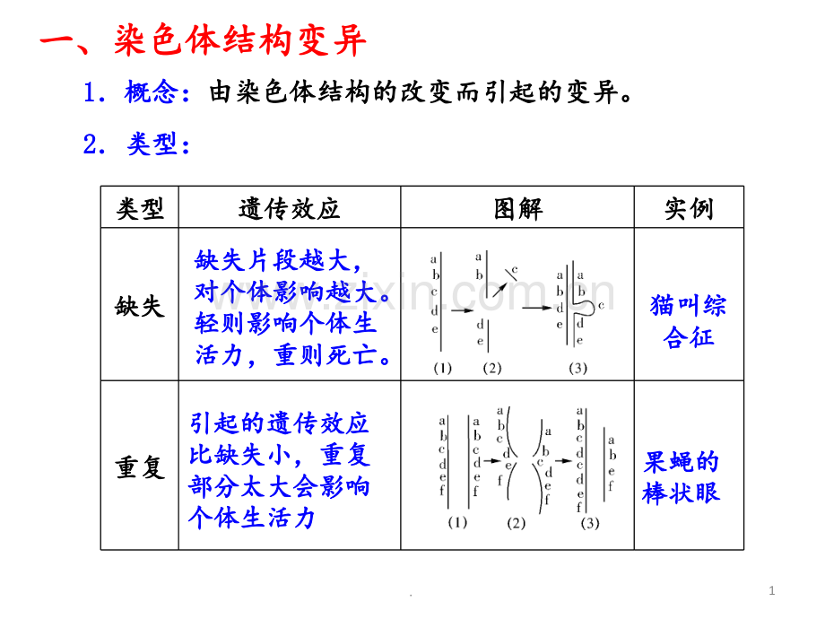 高考生物一轮复习-染色体变异人教.ppt_第1页