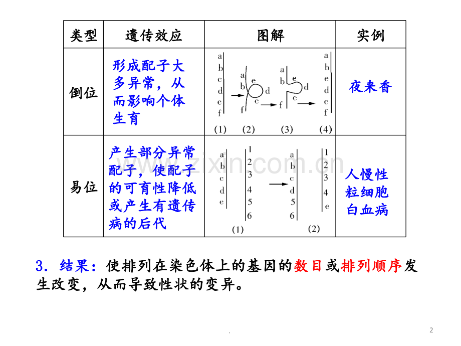 高考生物一轮复习-染色体变异人教.ppt_第2页