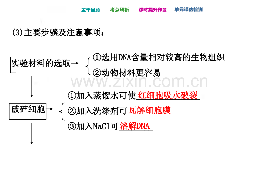 高考生物全国通用总复习教师用书配套专题四生物技术在其他方面的应用选修一.ppt_第3页