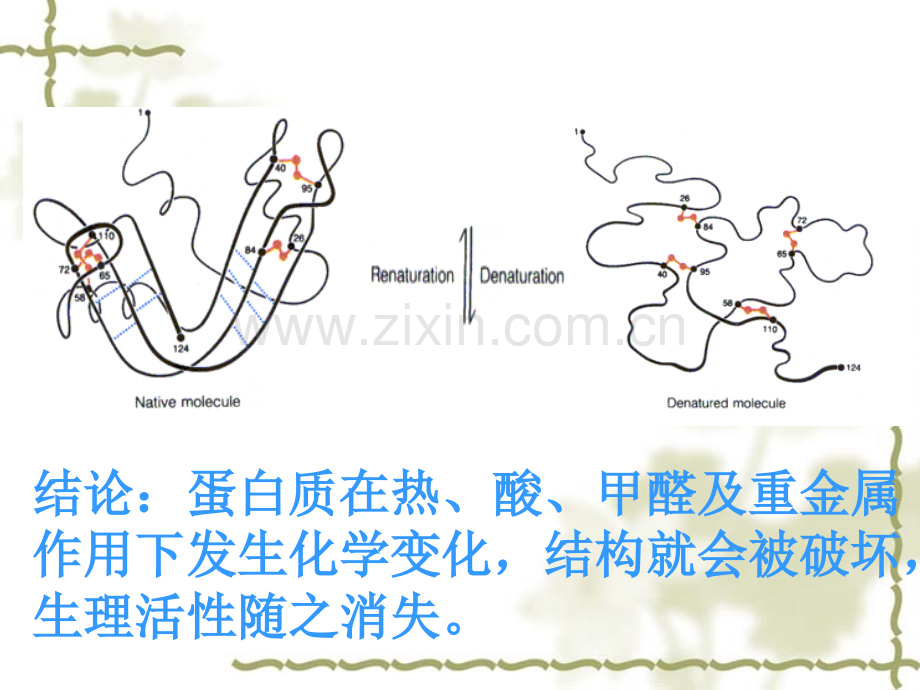 化学83远离有毒物质1鲁教版九年级.pptx_第3页