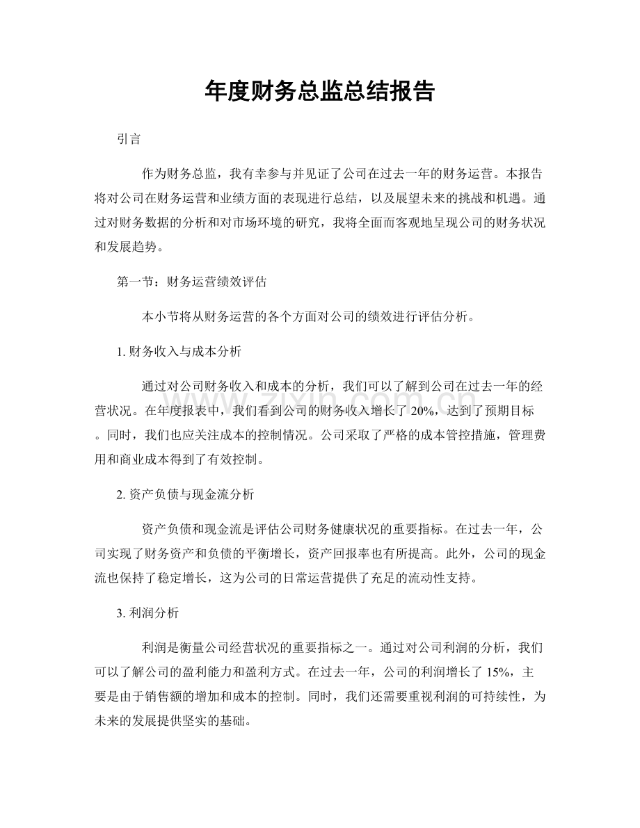 年度财务总监总结报告.docx_第1页