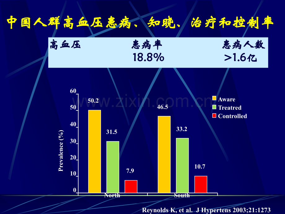 高血压治疗(从指南到实践).ppt_第2页