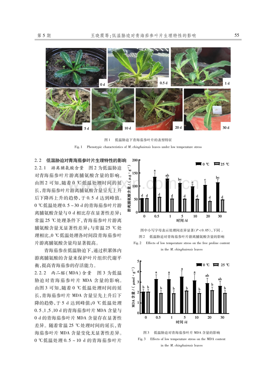 低温胁迫对青海茄参叶片生理特性的影响.pdf_第3页